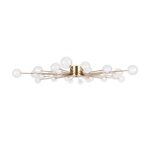 Потолочная люстра Celebrity Freya FR5242CL-24BS1